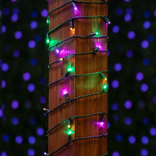 Mardi Gras 100 Light Yellow/Purple/Green LED  Mini String Light Set, UL Listed Indoor/Outdoor, Green Wire, 50 Feet